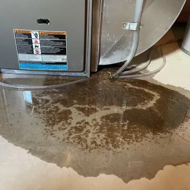 Appliance Leak Cleanup in Republic, WA